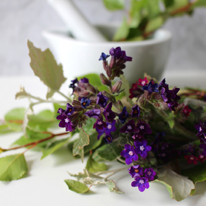 Classical Homeopathy Clinic